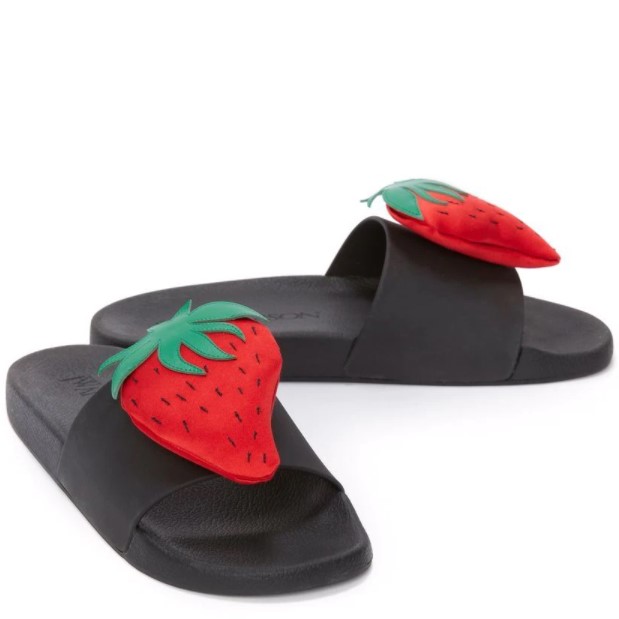 Designer Pool Slides Read This First