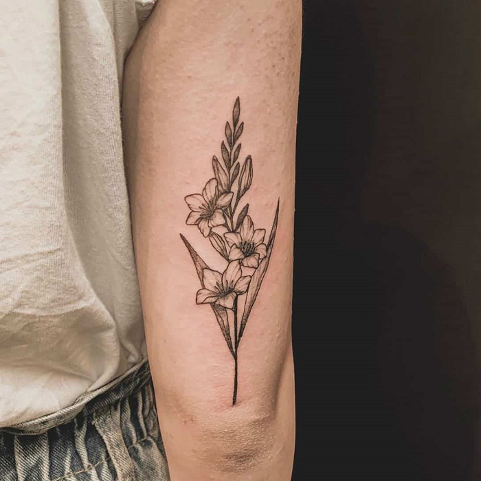 30 Best Gladiolus Tattoo Ideas 