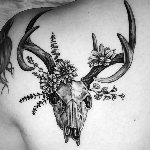 Skull Whitetailed deer Tattoo Skull Antler Creative black and white deer  skull white black Hair png  PNGEgg