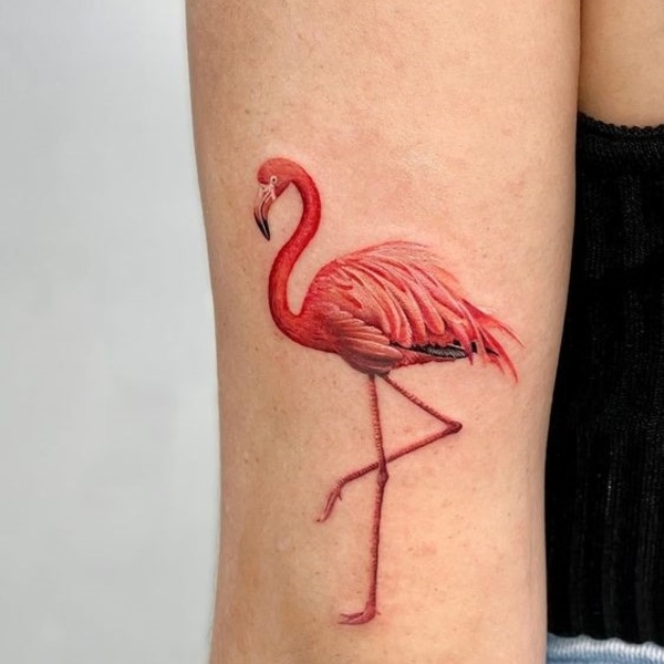 Penny Black Tattoo Butter  Repost chrisminshalltattoos       Little  flamingo from the other day love doing these little line work pieces  flamingo flamingotattoo tattooing tattooed tattooartist linework 