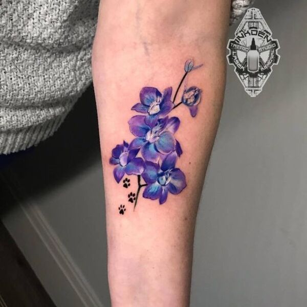 Best Larkspur Tattoo Ideas 