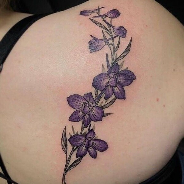 Best Larkspur Tattoo Ideas 