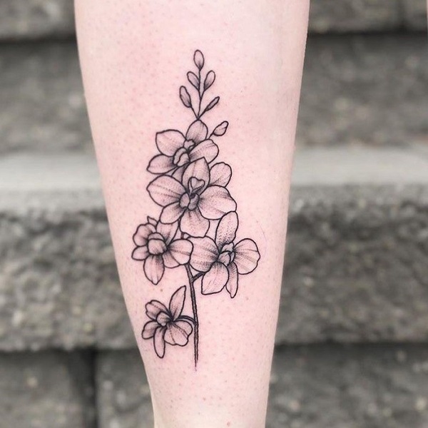 Best Larkspur Tattoo Ideas 