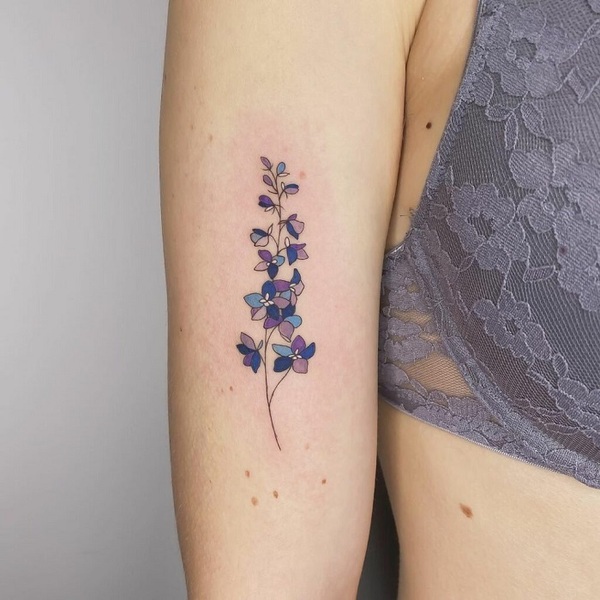 49 Gracefully Meaningful Designs Of Larkspur Tattoos To Eye This Year