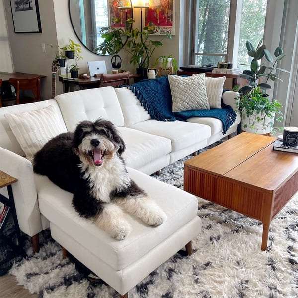 Stores Like West Elm 6 Burrow