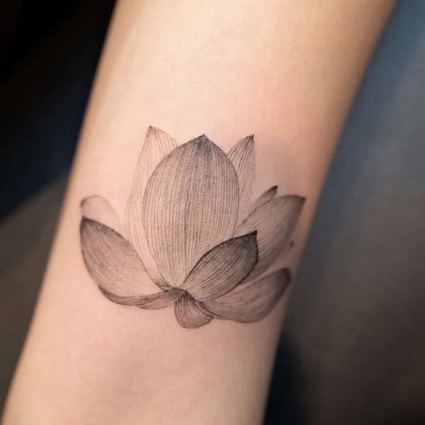 Best Water Lily Tattoo Ideas 