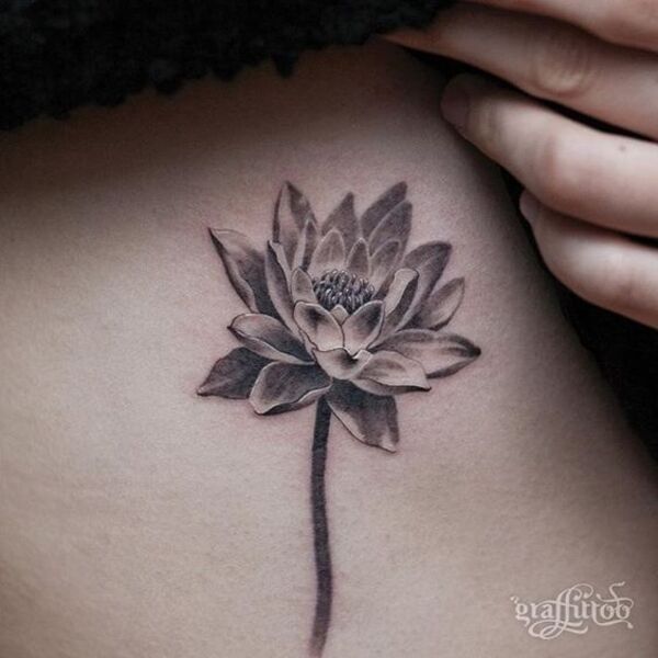 Best Water Lily Tattoo Ideas 