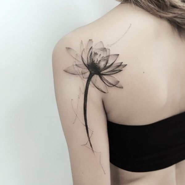 Best Water Lily Tattoo Ideas 