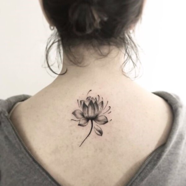 Best Water Lily Tattoo Ideas 
