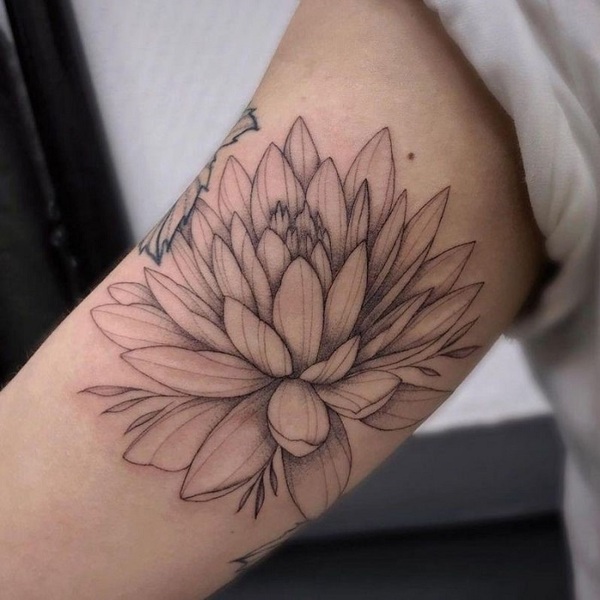 Best Water Lily Tattoo Ideas 