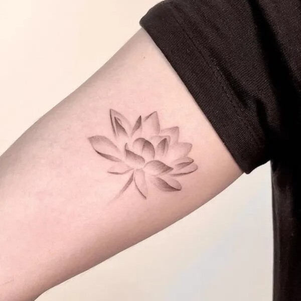 Best Water Lily Tattoo Ideas 