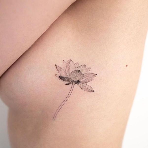 Best Water Lily Tattoo Ideas 