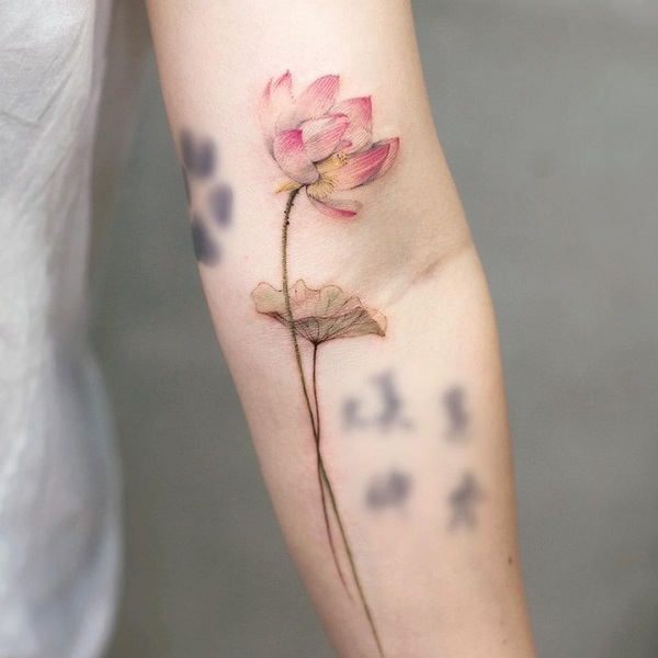 Best Water Lily Tattoo Ideas 