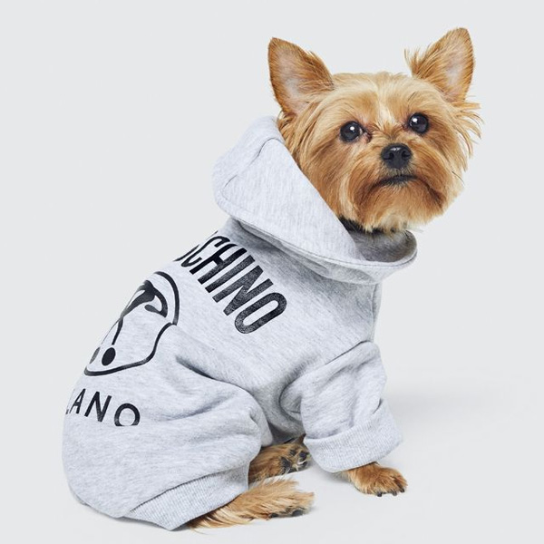 10 Best Designer Dog Clothes