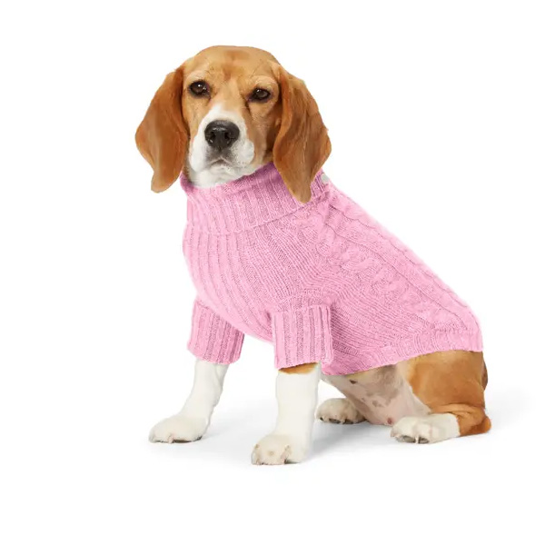 10 Best Designer Dog Clothes 4 Designer Dog Clothes