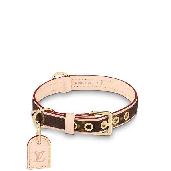 2 Best Louis Vuitton Dog Collars Read This First