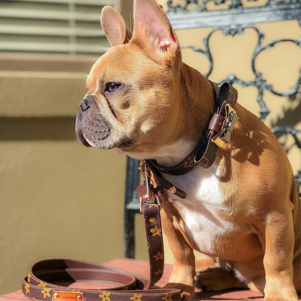 2 Best Louis Vuitton Dog Collars - This First