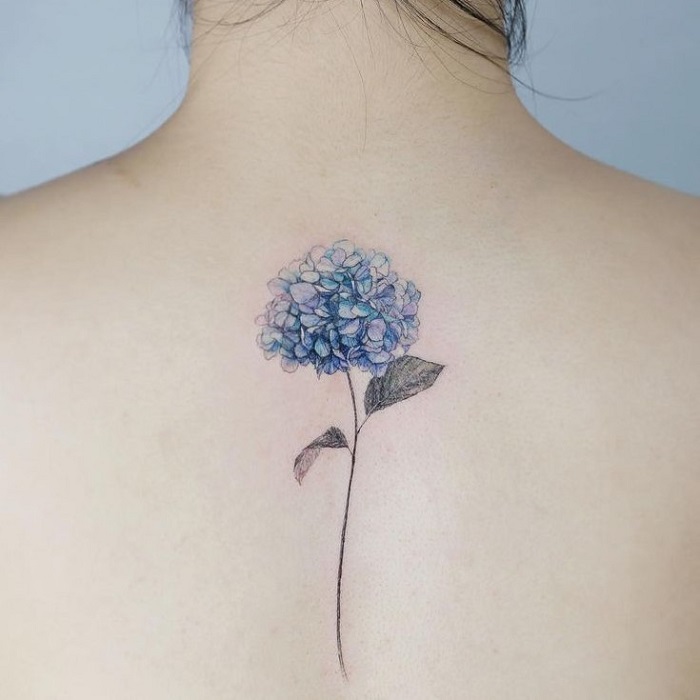 Best Hydrangea Tattoo Ideas 