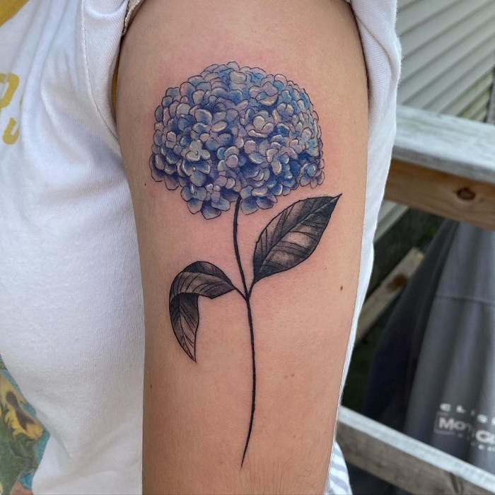 Best Hydrangea Tattoo Ideas 