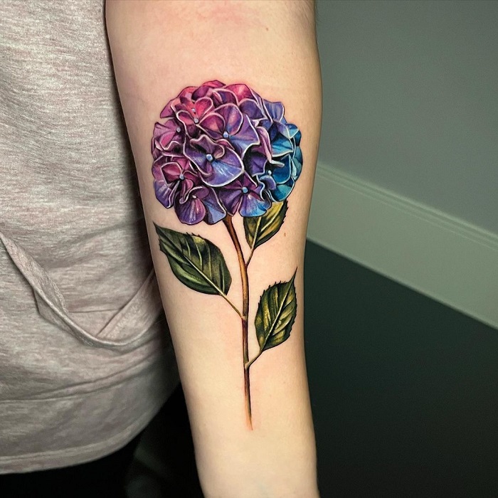 Best Hydrangea Tattoo Ideas 