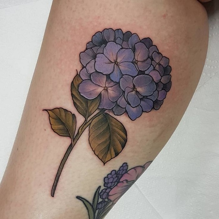 Best Hydrangea Tattoo Ideas 