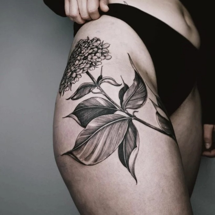 Best Hydrangea Tattoo Ideas 