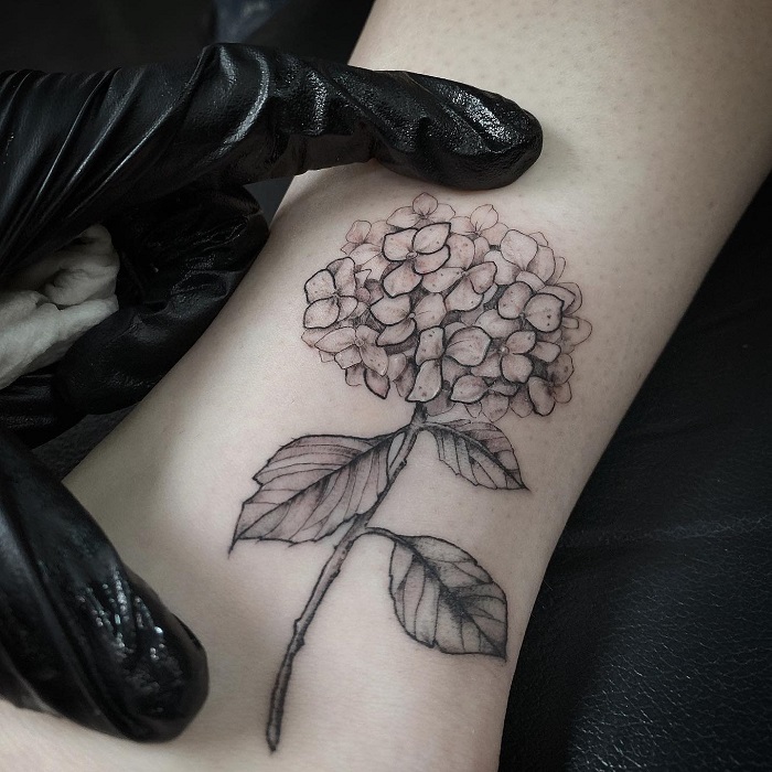 Best Hydrangea Tattoo Ideas 