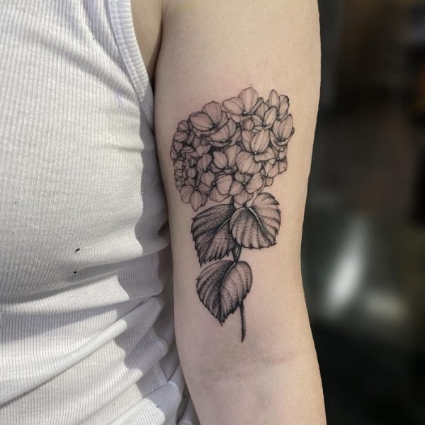 30 Best Hydrangea Tattoo Ideas - Read This First