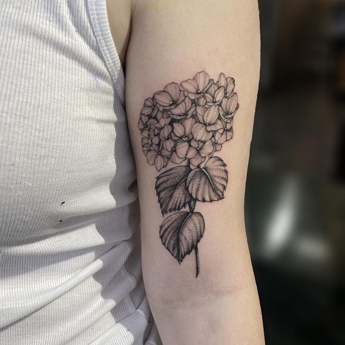 Discover more than 63 minimalist hydrangea tattoo super hot  thtantai2