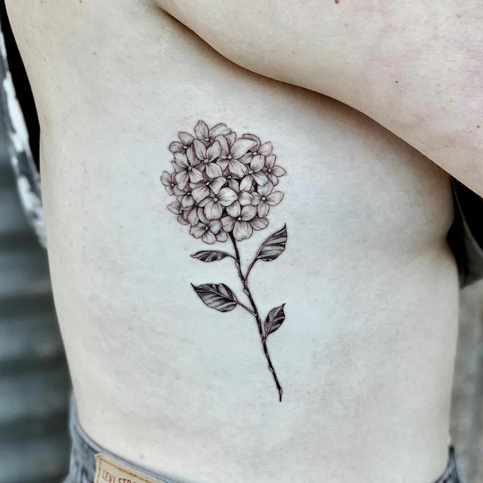 Hydrangea flower  Hydrangea tattoo Small tattoos Hip tattoos women