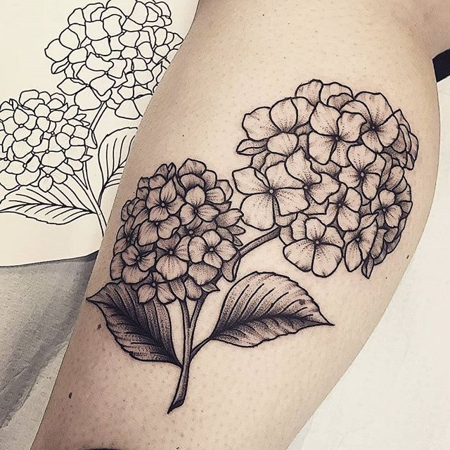 تويتر  TattooBloq على تويتر 20 Splendid Hydrangea Tattoo Designs  httpstcoCVySkP1kPG hydrangeatattoo floraltatoo tattoo  httpstcoZGzBNyxQy9