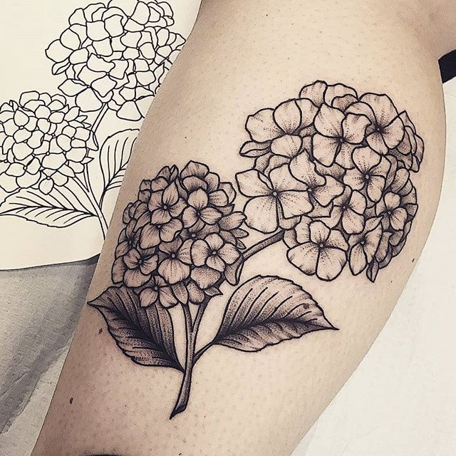 30 Best Hydrangea Tattoo Ideas  Read This First