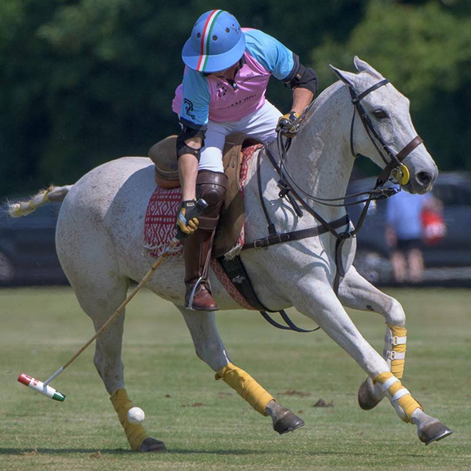 What To Wear To A Polo Match Read This First