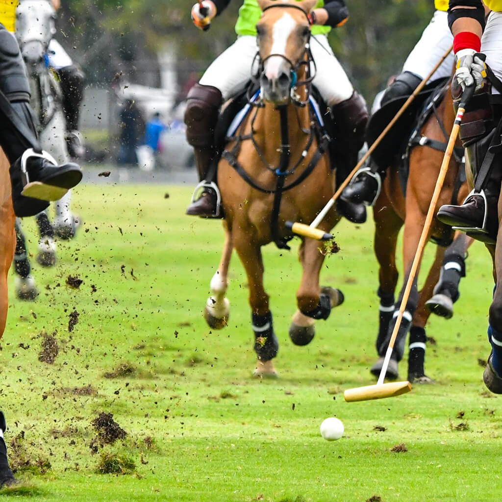 What To Wear To A Polo Match Read This First