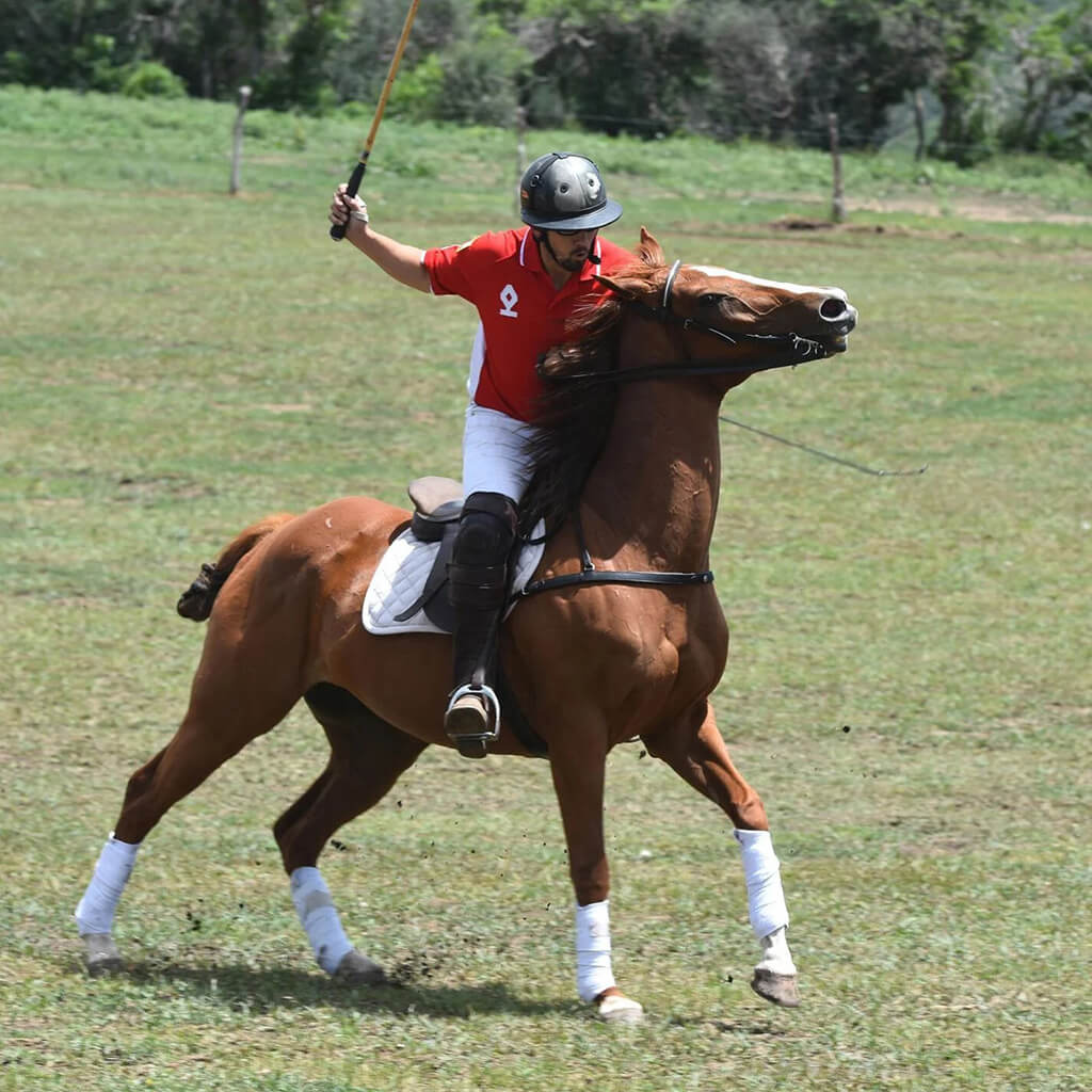 What To Wear To A Polo Match Read This First