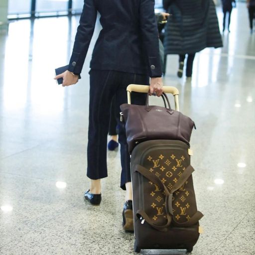 15 Best Louis Vuitton Luggage 1 15 Best Louis Vuitton Luggage