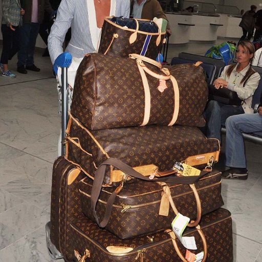 15 Best Louis Vuitton Luggage