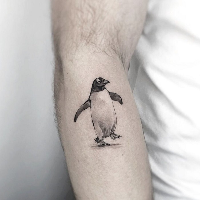 Tattoo uploaded by Steph • My First Tattoo #penguin #animal #yingyang # tribal #ankle #ankletattoo #penguintattoo #zoologist #myowntwist • Tattoodo