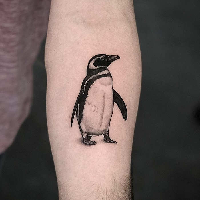 34 Best Penguin Tattoo Ideas 