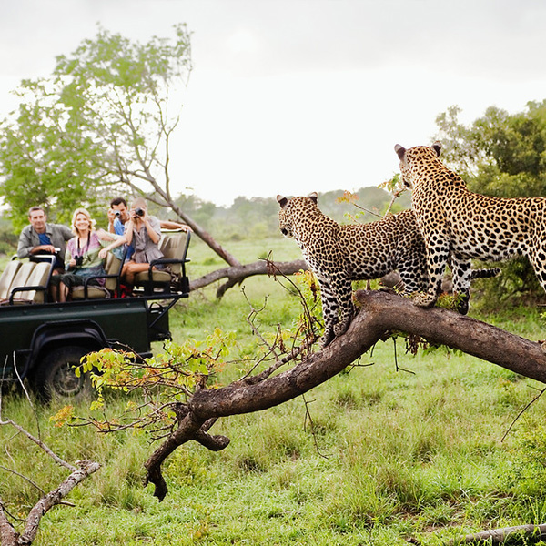 Safari Outfits Ideas